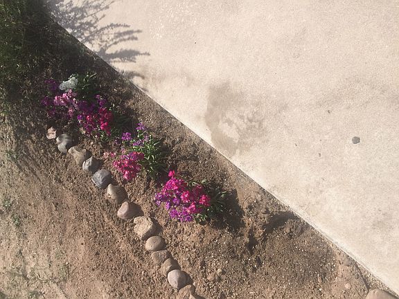 2nd image of 790 W Mesa Verde Dr APT 3