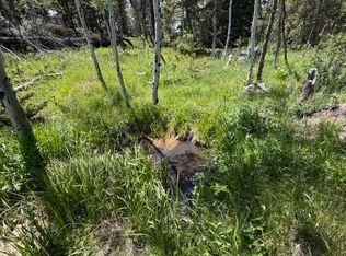 171 Spokane Ct, Red Feather Lakes, CO 80545