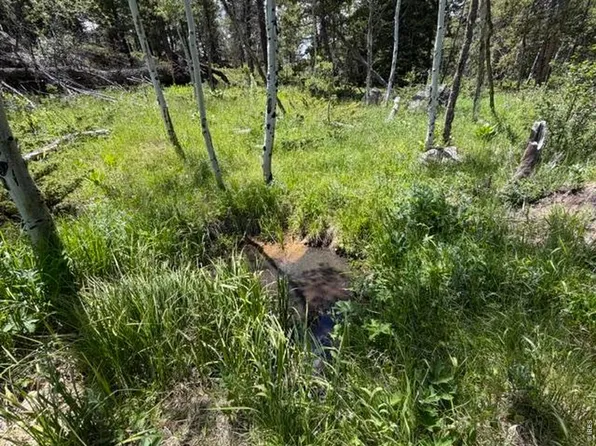 171 Spokane Ct, Red Feather Lakes, CO 80545