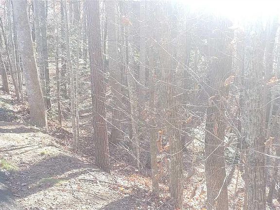 3rd image of 13 Deer Path Ln Lot 13