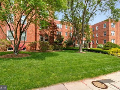 2801 Cortland Pl NW APT 1, Washington, DC, 20008