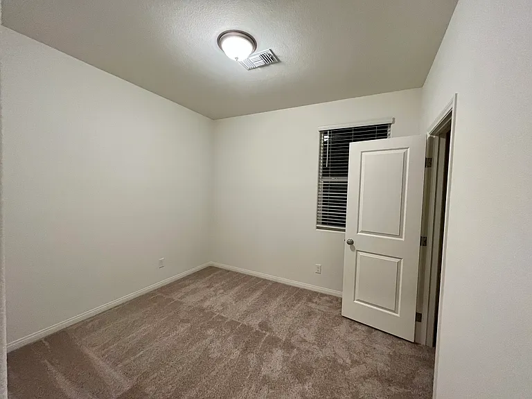 6947 Wildhorse Creek St — Photo 19