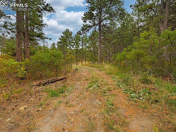 3rd image of 14420 S Perry Park Rd