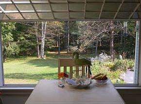 Brook view from kitchen