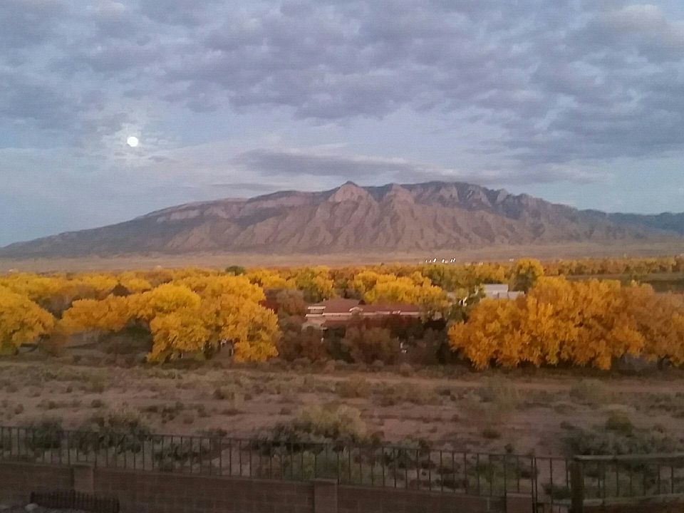 Fall evening