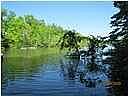 1st image of 3 Moutardier Woods Way