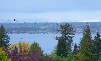 1st image of 510 14th Ave W