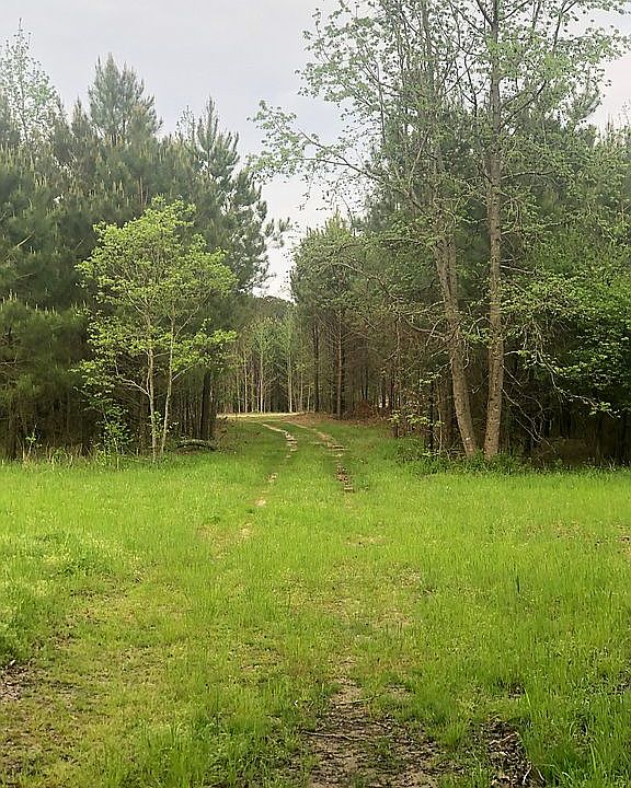 2nd image of 1355 Roosevelt Rd