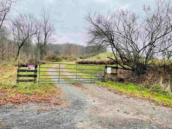 0 Isaacs Creek Rd, Lost Creek, WV 26385
