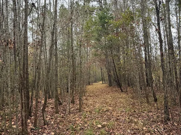 11 Highway, Pachuta, MS 39347