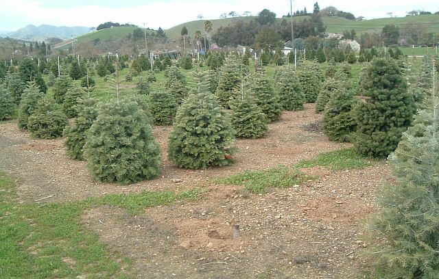 2nd image of 13865 Monterey Hwy