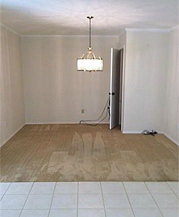 3rd image of 3313 Wells Dr