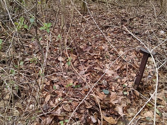 Property Post