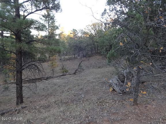 5th image of 1721 N 36th Dr