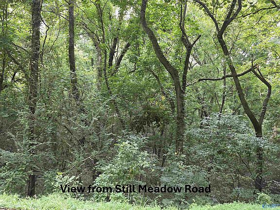 4th image of 7.7 Acres Still Meadow Rd