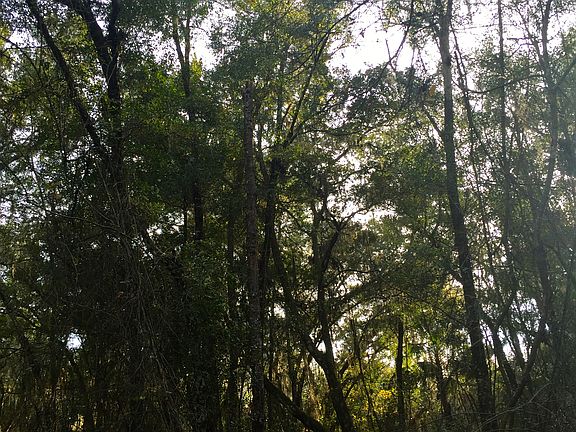 4th image of 205 Ne 9th Avenue