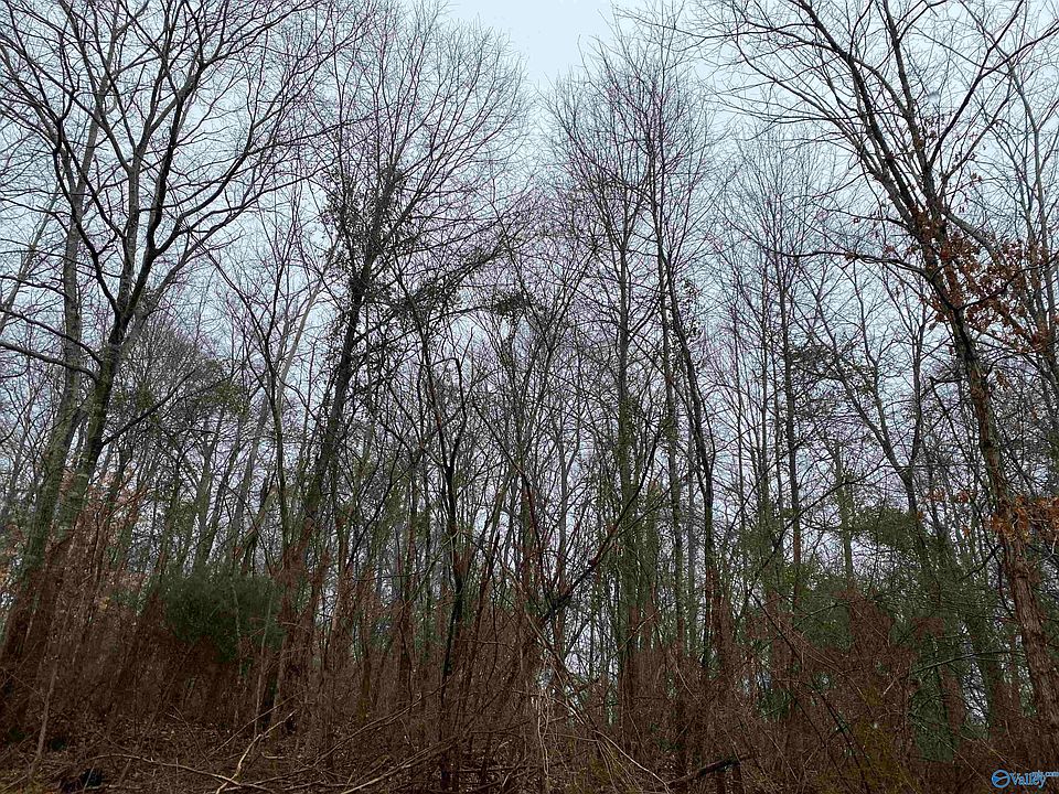 2nd image of 1 Bud Weaver Rd