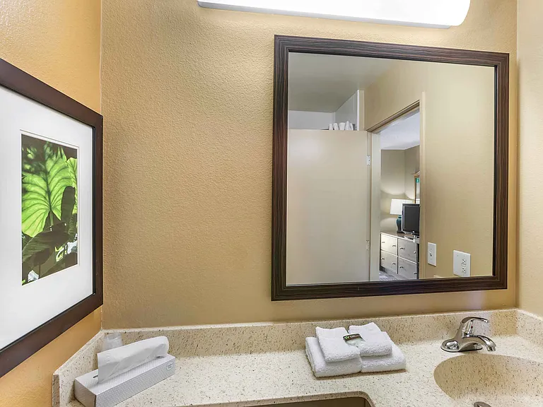 Studio Suite - 1 Queen Bed