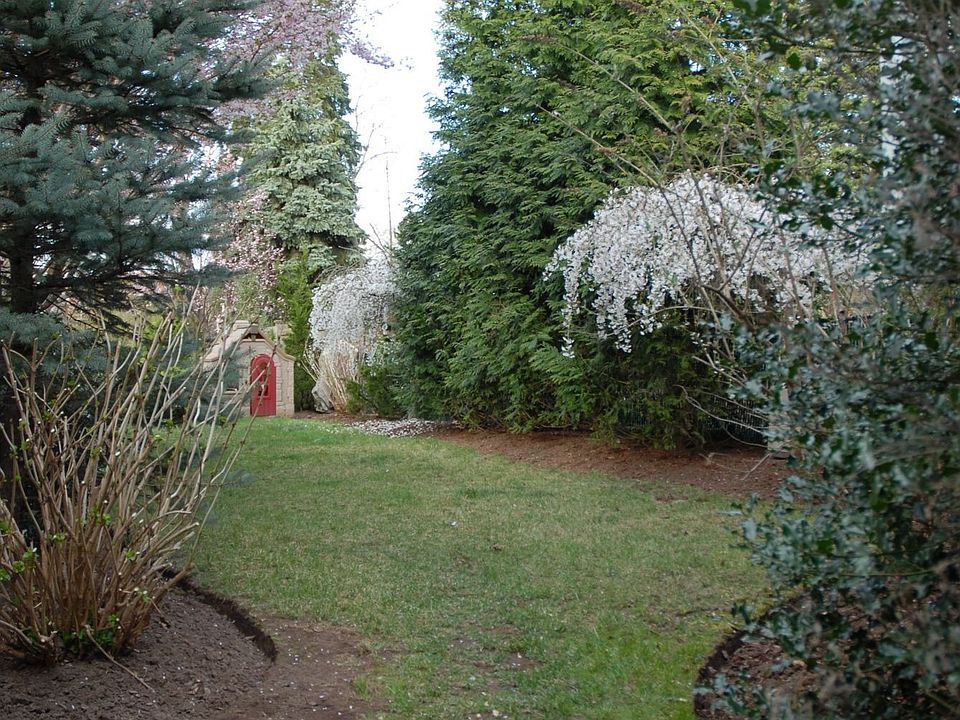 rear yard 