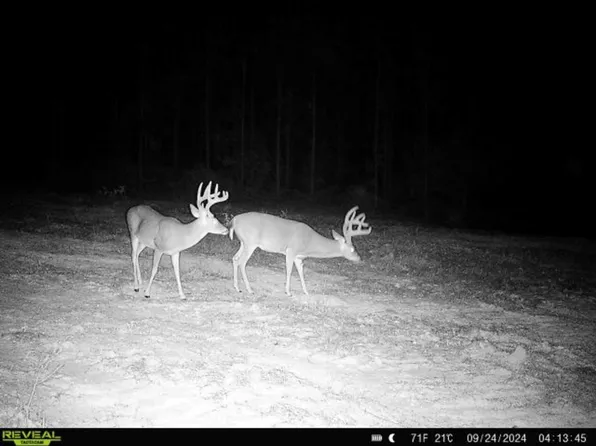 7 Oxford Meadville Rd, Gloster, MS 39638