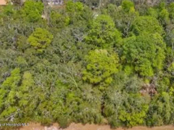 3366 N Annapolis Ave Lot 5, Hernando, FL 34442