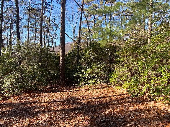 4th image of 40 Nantahala Ln
