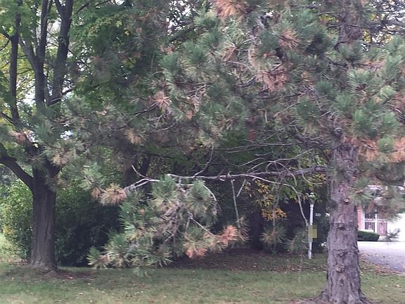 3rd image of 3120 Westwood Pkwy