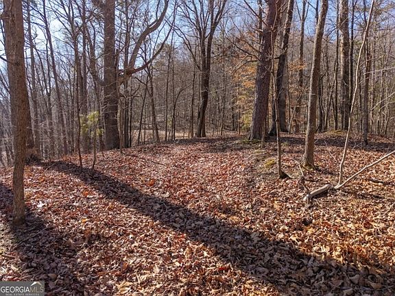 5th image of 1110 Mayfield Ln NE