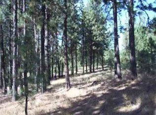 Xx Pine Ridge Way, Nine Mile Falls, WA 99026