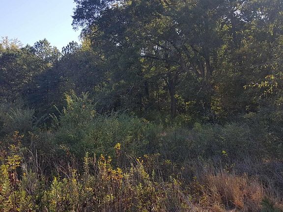 3rd image of 2667 Buchanan Hwy