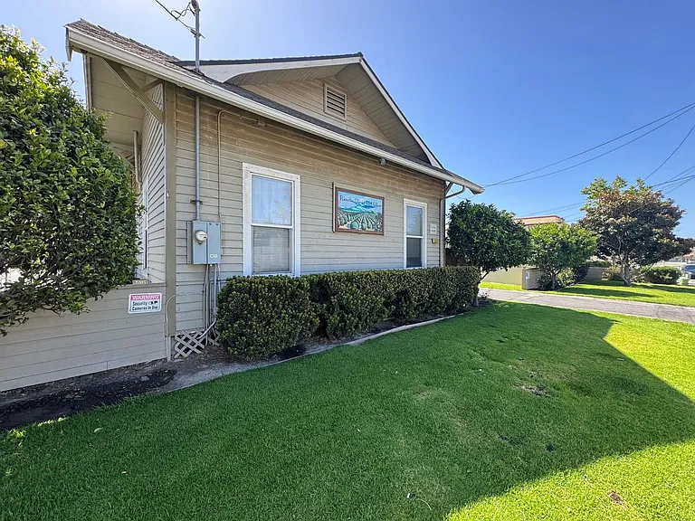 154olive — Photo 1