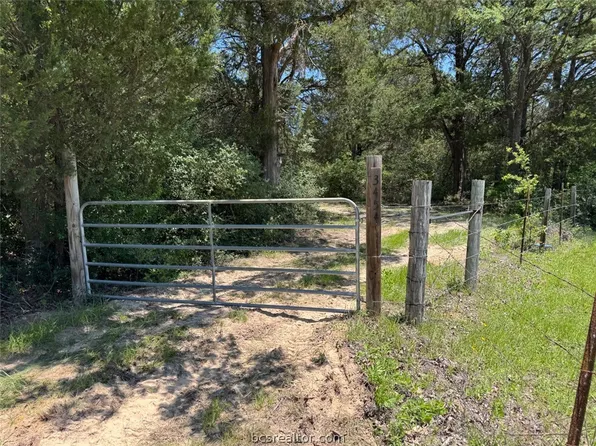 3454 County Road 426, Marquez, TX 77865