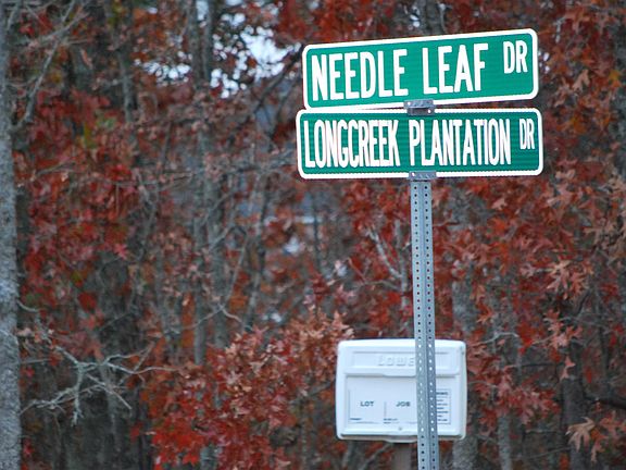 2nd image of 220 Longcreek Plantation Dr