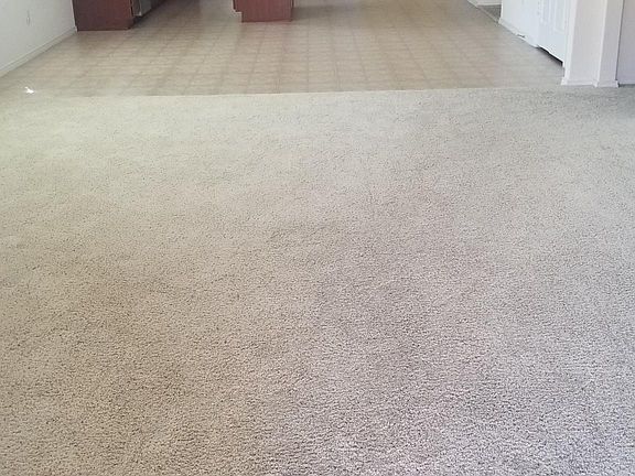 View from the back door into the family room, dining room and kitchen.