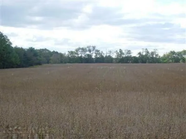 0 E Elm Valley Rd, Buchanan, MI 49107