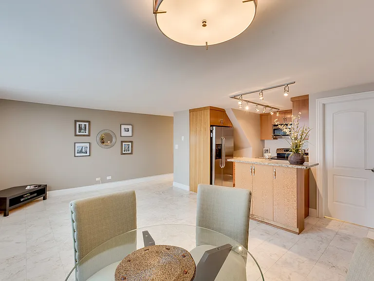 1221 N Dearborn Pkwy #1210S — Photo 4