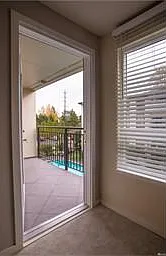Deck Door
