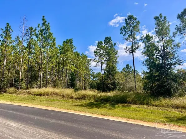 30 Morgan Ln, Molino, FL 32577