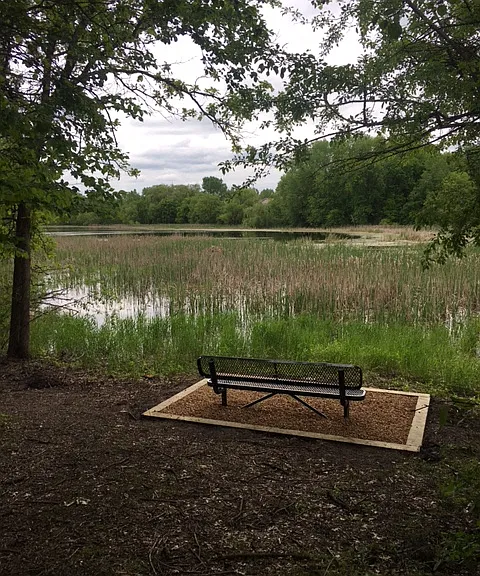 Walking Trail