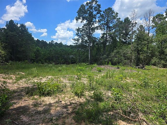 5th image of 26131 Crown Ranch Blvd