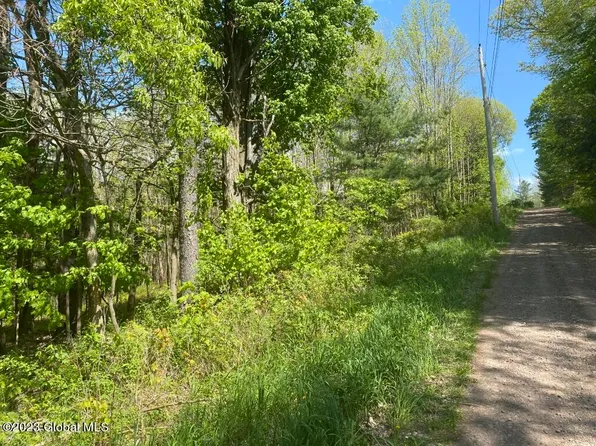 L23 Souer Road, Stamford, NY 12167