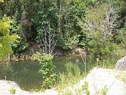 3rd image of 12 Rocky Bluff Trl