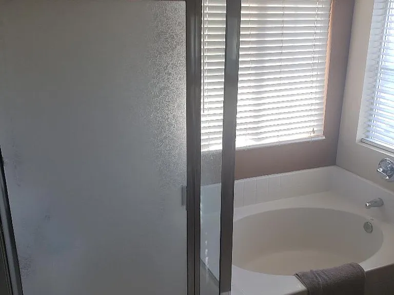 Master Bathroom Tub and Shower