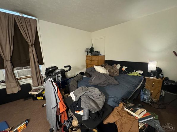 cincinnati-ohio-34262237 picture