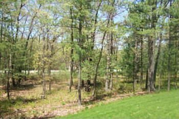 View From Front Porch