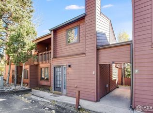 1050 S Saint Vrain Ave UNIT E3, Estes Park, CO 80517