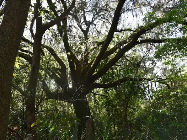 NW 155th St, Reddick, FL 32686