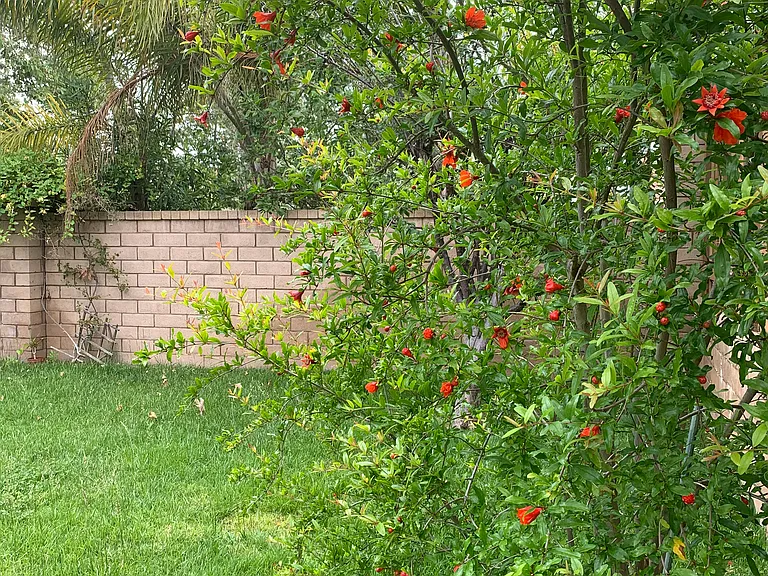 10518 Sea Mist Way — Photo 11