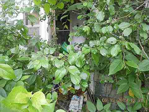 14657 Blackstone