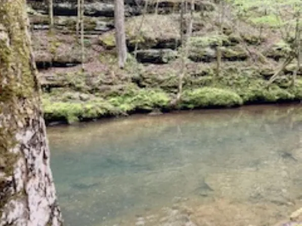 14350 Williams Rd, Athens, AL 35614